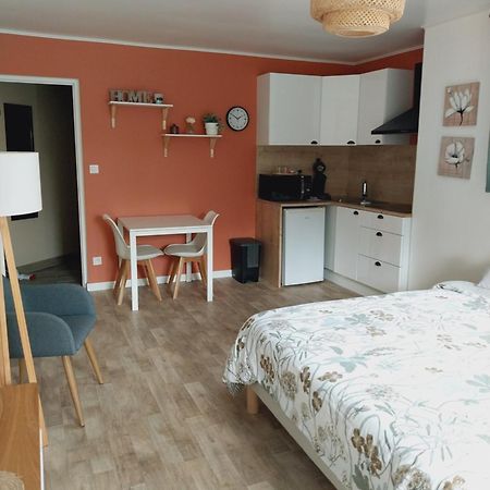 Superbe Grand Studio Tout Confort Avec Exterieur Poussan Luaran gambar